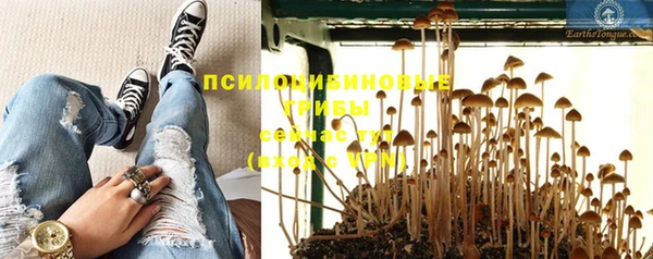 мескалин Аркадак