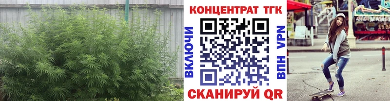 ТГК Wax  где купить наркоту  Нестеров 