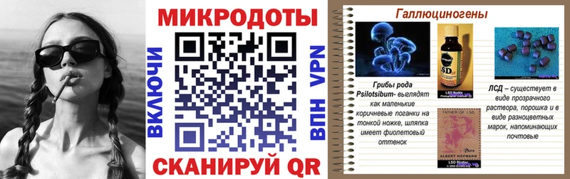 МЕГА ссылки Нестеров Псилоцибиновые грибы Psilocybe